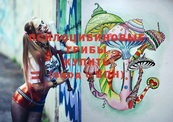 спайс Рославль