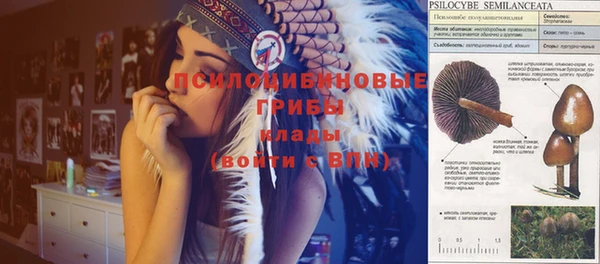 спайс Рославль