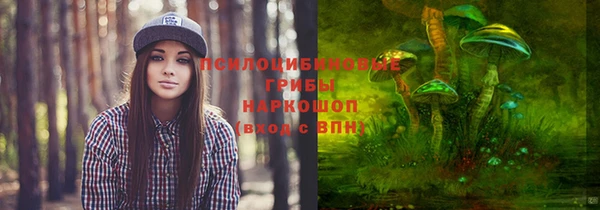 соль курить ск Россошь