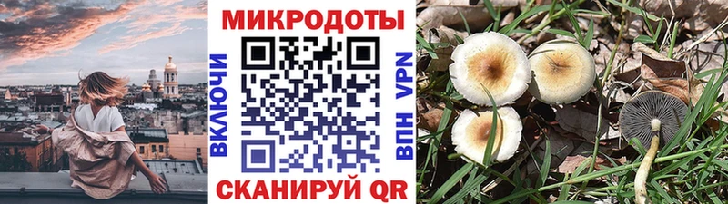 Галлюциногенные грибы мицелий Приморско-Ахтарск